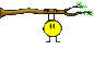 Branch