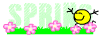 Springsmile